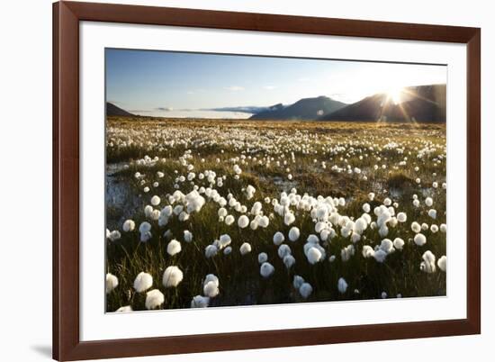 Arctic Landscape, Svalbard-null-Framed Photographic Print