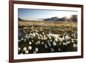 Arctic Landscape, Svalbard-null-Framed Photographic Print