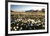 Arctic Landscape, Svalbard-null-Framed Photographic Print