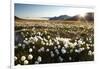 Arctic Landscape, Svalbard-null-Framed Photographic Print