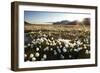 Arctic Landscape, Svalbard-null-Framed Photographic Print