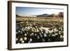 Arctic Landscape, Svalbard-null-Framed Photographic Print