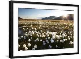 Arctic Landscape, Svalbard-null-Framed Photographic Print