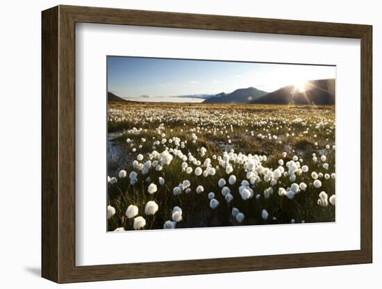 Arctic Landscape, Svalbard-null-Framed Photographic Print