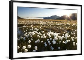 Arctic Landscape, Svalbard-null-Framed Photographic Print