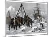 Arctic Life, Cutting a Way Out of the Ice from Winter Quarters, 1875-W Palmer-Mounted Giclee Print