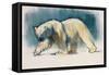 Arctic Light, 2017,-Mark Adlington-Framed Stretched Canvas