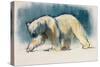 Arctic Light, 2017,-Mark Adlington-Stretched Canvas
