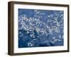 Arctic Ocean, Norway, Svalbard. Flying Kittiwake Birds and Glacier Face-Jaynes Gallery-Framed Photographic Print