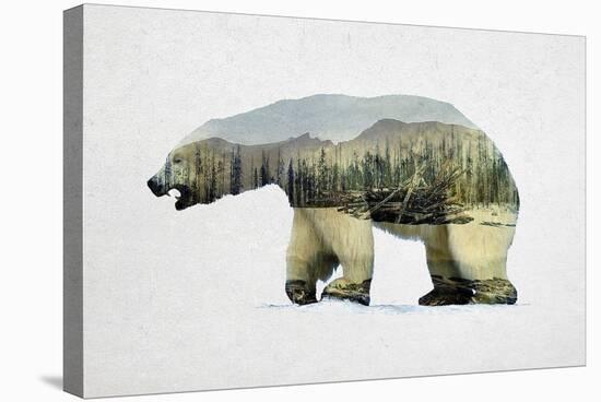 Arctic Polar Bear-Davies Babies-Stretched Canvas