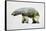 Arctic Polar Bear-Davies Babies-Framed Stretched Canvas