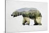 Arctic Polar Bear-Davies Babies-Stretched Canvas