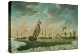 Arctic Scene-Robert Willoughby-Stretched Canvas