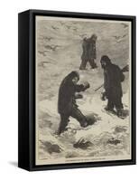 Arctic Sketches from the Pandora, Climbing to the Cairn-null-Framed Stretched Canvas
