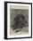 Arctic Sketches from the Pandora-William Heysham Overend-Framed Giclee Print