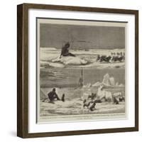 Arctic Sketches-null-Framed Giclee Print