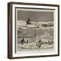 Arctic Sketches-null-Framed Giclee Print