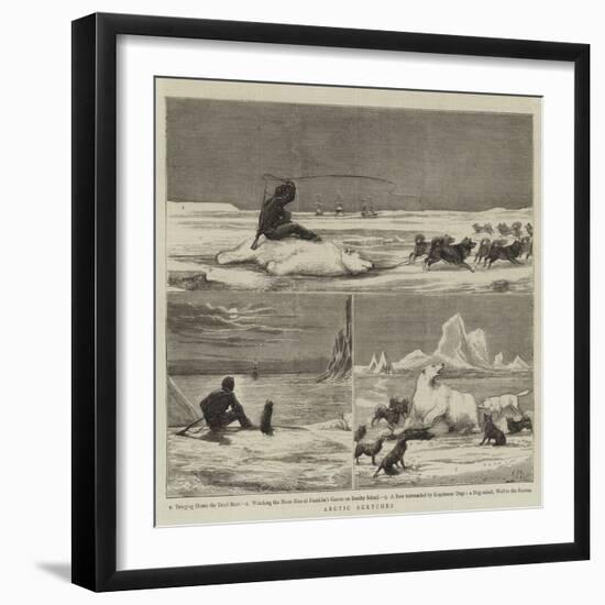 Arctic Sketches-null-Framed Giclee Print