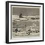 Arctic Sketches-null-Framed Giclee Print