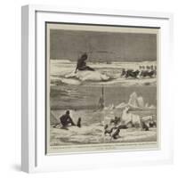 Arctic Sketches-null-Framed Giclee Print