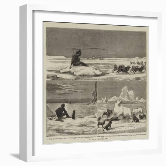 Arctic Sketches-null-Framed Giclee Print