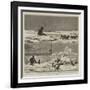 Arctic Sketches-null-Framed Giclee Print