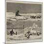 Arctic Sketches-null-Mounted Giclee Print