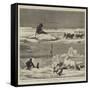 Arctic Sketches-null-Framed Stretched Canvas