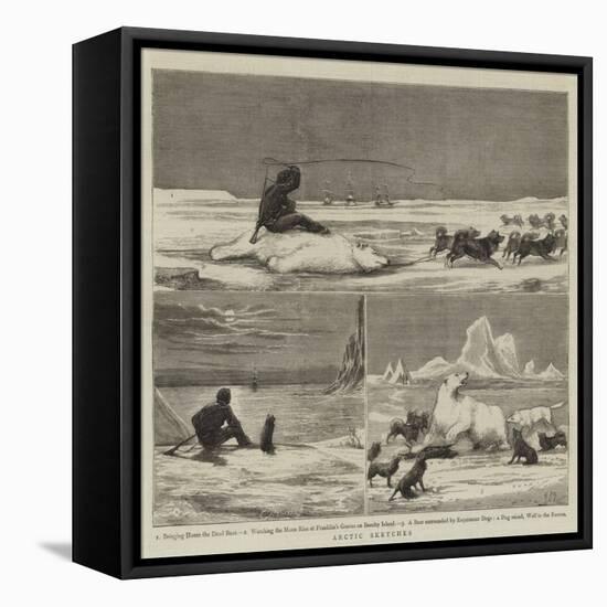 Arctic Sketches-null-Framed Stretched Canvas