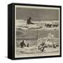 Arctic Sketches-null-Framed Stretched Canvas