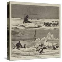 Arctic Sketches-null-Stretched Canvas