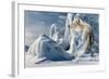 Arctic Spirit-Gordon Semmens-Framed Giclee Print