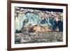 Arctic, Svalbard. 20M High Turquoise Glacier Calving into the Sea-David Slater-Framed Photographic Print