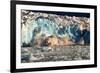 Arctic, Svalbard. 20M High Turquoise Glacier Calving into the Sea-David Slater-Framed Photographic Print