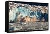 Arctic, Svalbard. 20M High Turquoise Glacier Calving into the Sea-David Slater-Framed Stretched Canvas