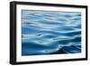 Arctic, Svalbard. Ocean Ripples-David Slater-Framed Photographic Print