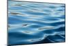 Arctic, Svalbard. Ocean Ripples-David Slater-Mounted Photographic Print