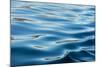 Arctic, Svalbard. Ocean Ripples-David Slater-Mounted Photographic Print