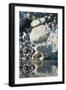 Arctic, Svalbard. Polar Bear Female and Reflection-David Slater-Framed Photographic Print