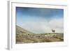 Arctic, Svalbard. Rangifer Tarandus Platyrhynchus, Male Svalbard Reindeer on Barren Tundra-David Slater-Framed Photographic Print