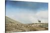 Arctic, Svalbard. Rangifer Tarandus Platyrhynchus, Male Svalbard Reindeer on Barren Tundra-David Slater-Stretched Canvas