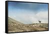 Arctic, Svalbard. Rangifer Tarandus Platyrhynchus, Male Svalbard Reindeer on Barren Tundra-David Slater-Framed Stretched Canvas