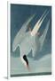 Arctic Tern, from 'Birds of America', Engraved by Robert Havell (1793-1878) Published 1835-John James Audubon-Framed Giclee Print