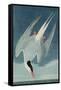 Arctic Tern, from 'Birds of America', Engraved by Robert Havell (1793-1878) Published 1835-John James Audubon-Framed Stretched Canvas