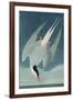 Arctic Tern, from 'Birds of America', Engraved by Robert Havell (1793-1878) Published 1835-John James Audubon-Framed Giclee Print