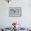 Arctic Tern in Flight, Hudson Bay, Canada-Paul Souders-Framed Photographic Print displayed on a wall