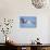 Arctic Tern, Svalbard, Norway-Paul Souders-Photographic Print displayed on a wall