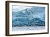 Arctic Terns and Black-Legged Kittiwakes Feeding at Glacier Mouth, Spitsbergen, Norway., 2022 (Phot-Sisse Brimberg-Framed Giclee Print