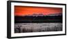 Arctic Terns and Ducks, under the Midnight Sun, Seltjarnarnes, Reykjavik, Iceland-null-Framed Photographic Print