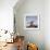 Arctic Terns (Sterna Paradisaea), Flatey Island, Breidafjordur, Iceland-null-Framed Photographic Print displayed on a wall